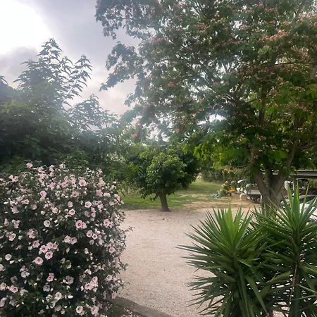 Piscine Argeles Villa Elne